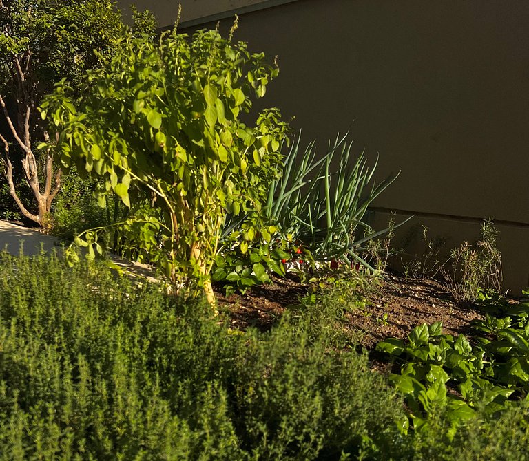Apartamento no Jardins